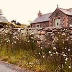 Maggie Janes Carlingford Omealth O Meith