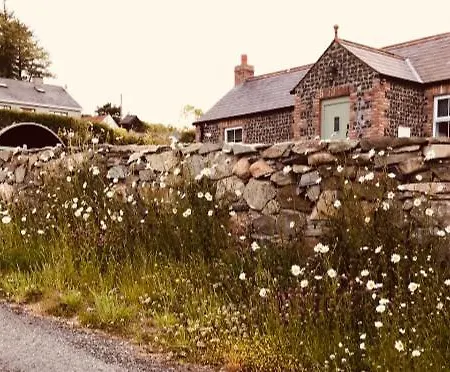 Maggie Janes Carlingford Omealth O Meith