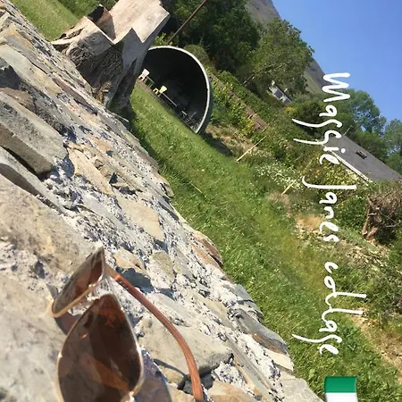 Maggie Janes Carlingford Omealth * O Meith