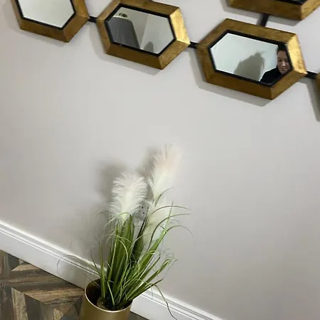 Maggie Janes Carlingford Omealth