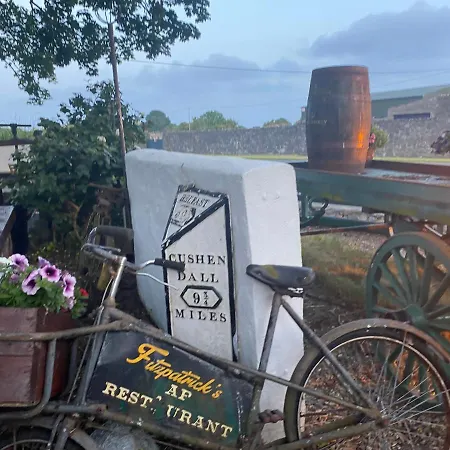 Maggie Janes Carlingford Omealth *