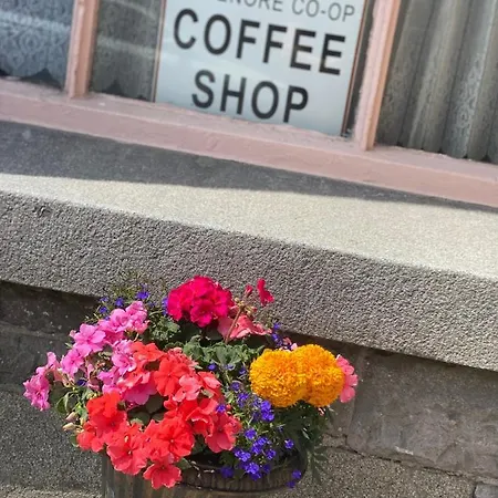 Maggie Janes Carlingford Omealth O Meith