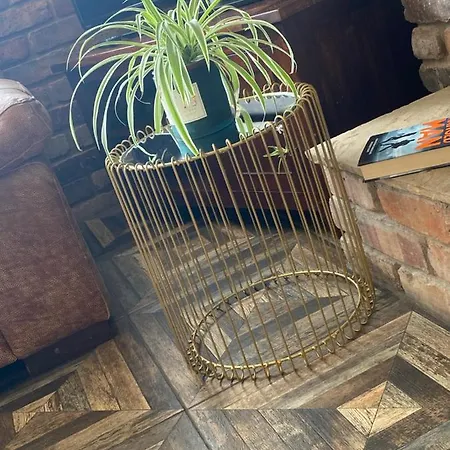 Maggie Janes Carlingford Omealth