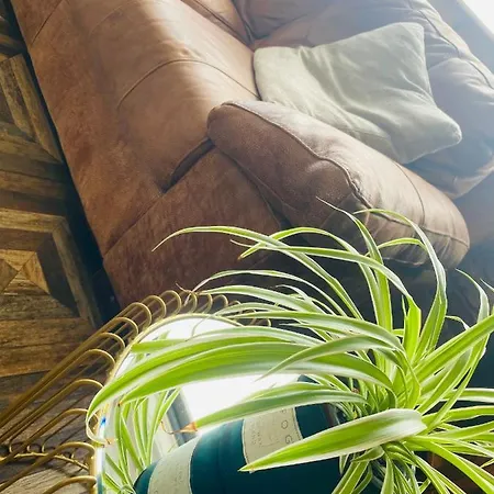 Maggie Janes Carlingford Omealth Holiday home *