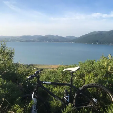 Maggie Janes Carlingford Omealth O Meith