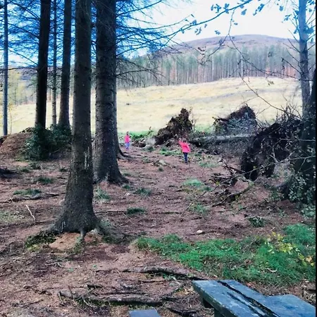 Maggie Janes Carlingford Omealth