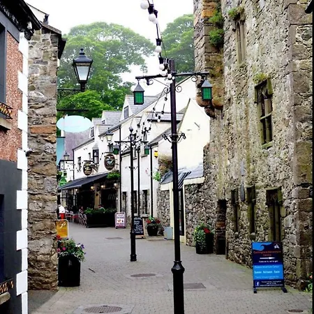 Maggie Janes Carlingford Omealth