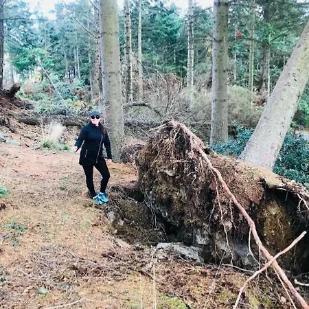 Maggie Janes Carlingford Omealth 度假居 *