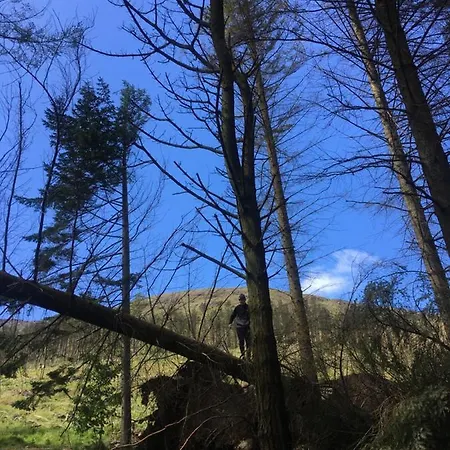 度假居 Maggie Janes Carlingford Omealth