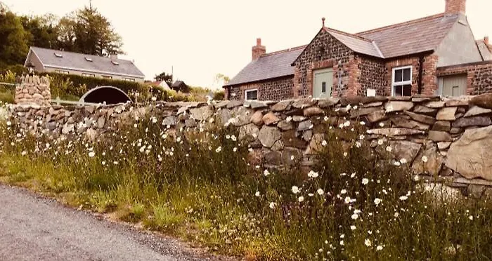 Maggie Janes Carlingford Omealth O Meith