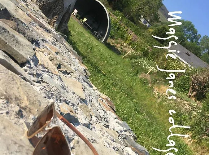 Maggie Janes Carlingford Omealth * O Meith