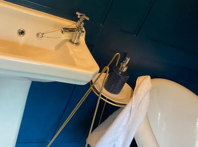 Maggie Janes Carlingford Omealth O Meith