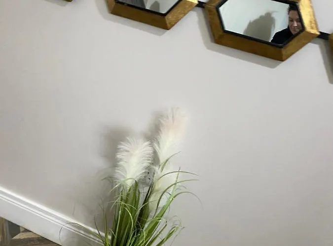 Maggie Janes Carlingford Omealth