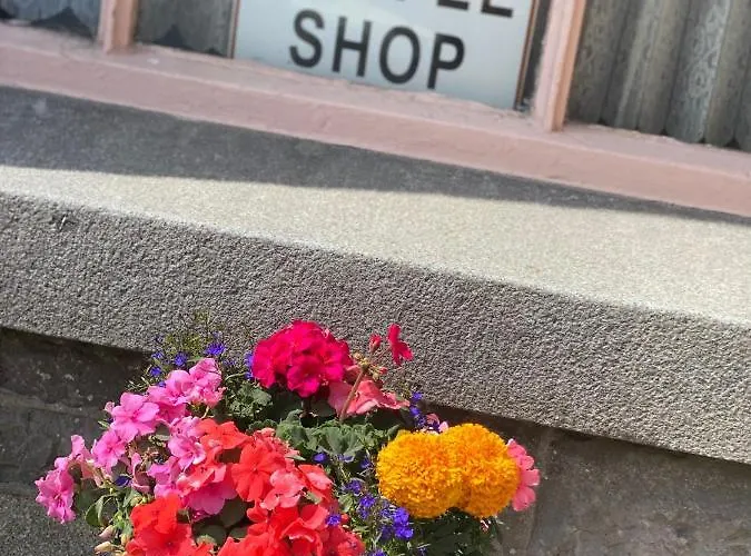 Maggie Janes Carlingford Omealth O Meith