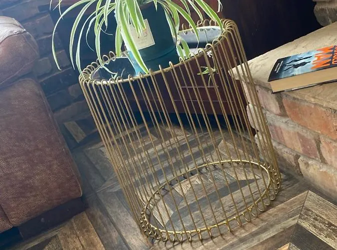 Maggie Janes Carlingford Omealth