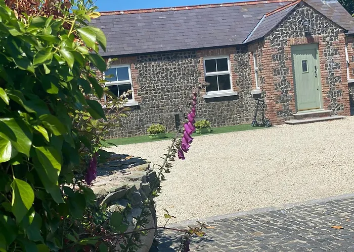 Maggie Janes Carlingford Omealth * O Meith