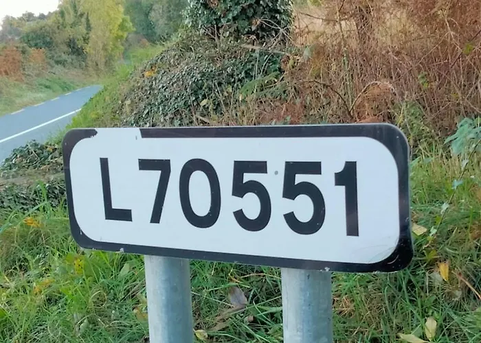 Maggie Janes Carlingford Omealth O Meith