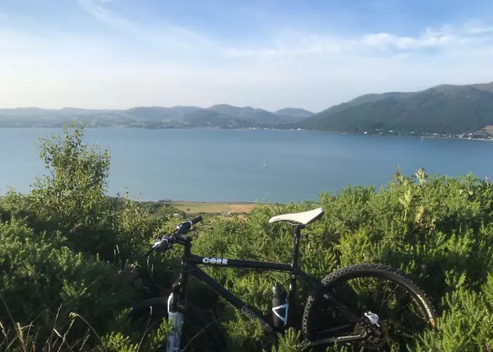 Maggie Janes Carlingford Omealth O Meith