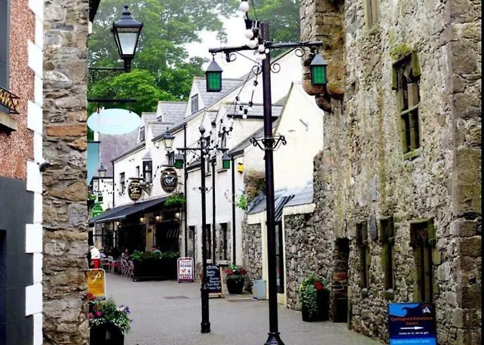 Maggie Janes Carlingford Omealth