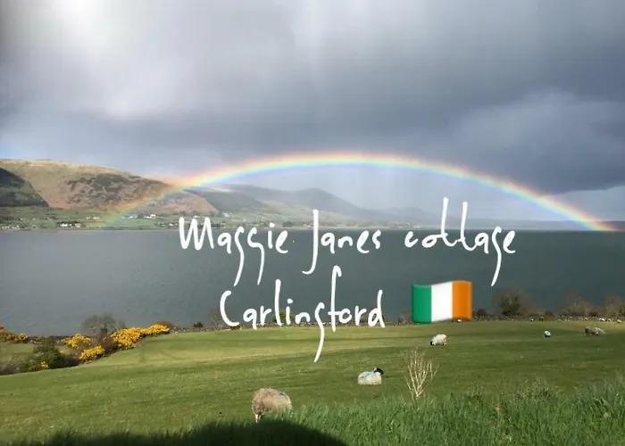 Maggie Janes Carlingford Omealth O Meith