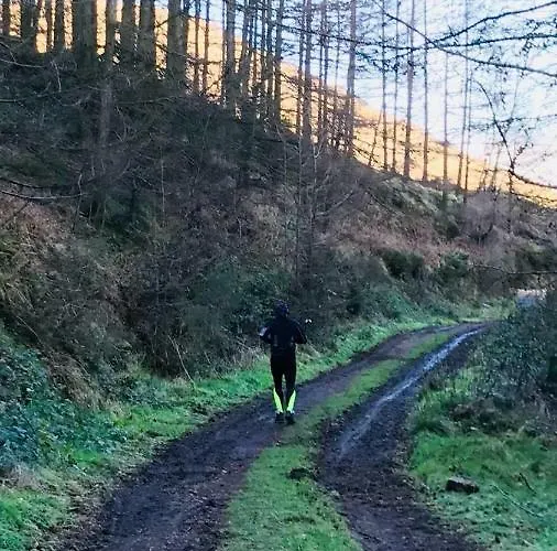 Maggie Janes Carlingford Omealth Vakantiehuis O Meith