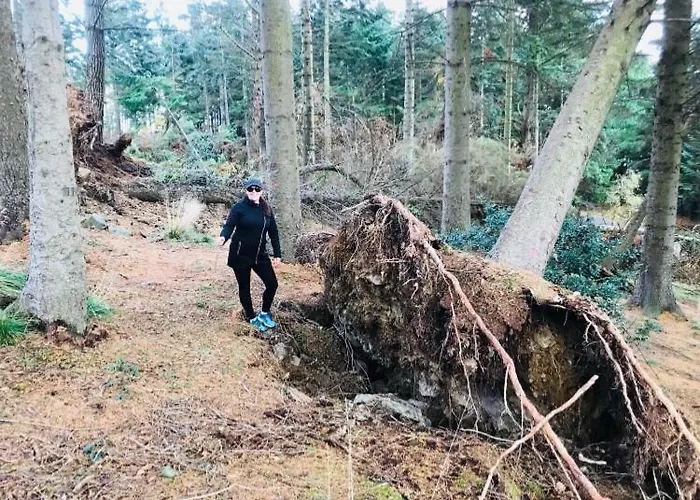 Maggie Janes Carlingford Omealth Vakantiehuis *