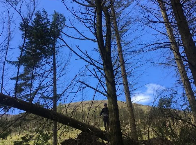 Vakantiehuis Maggie Janes Carlingford Omealth